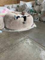 IMG_20230904_231411_488